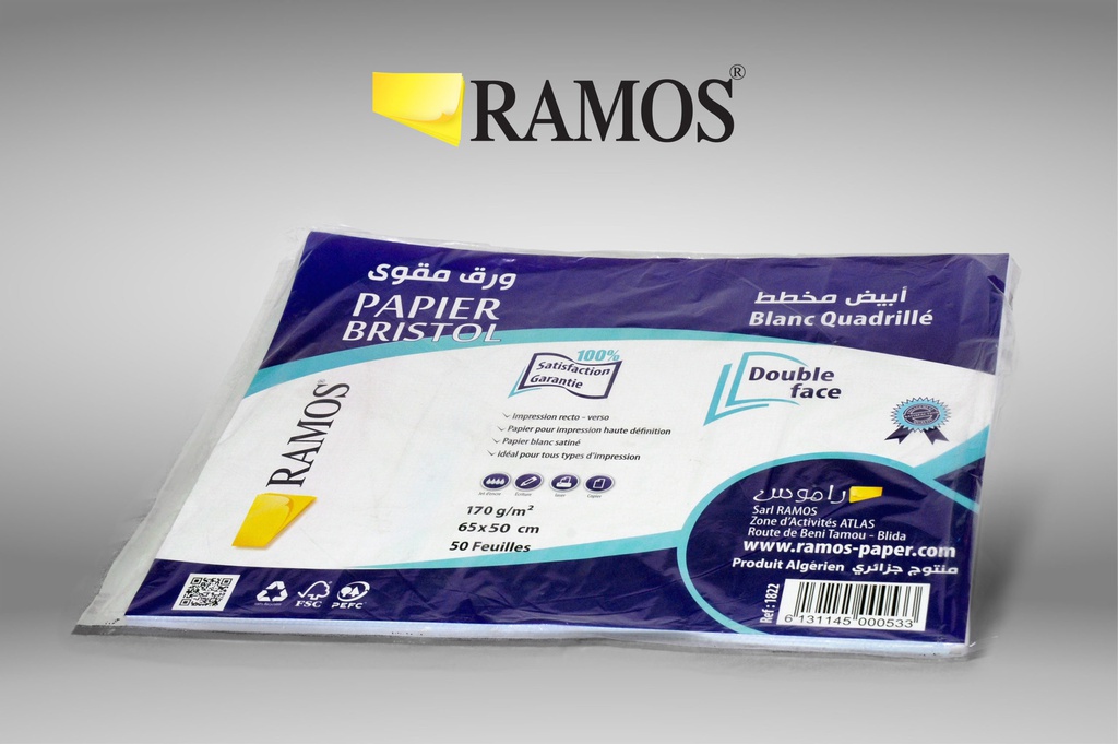 FICHE BRISTOL A2 QUADRILLÉ 170g/m² RAMOS