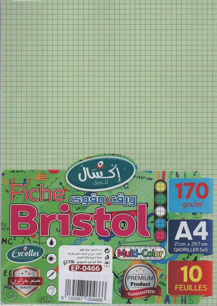 FICHE BRISTOL QUADRILLÉE A4 5 COULEURS 170g/m² 10F EXCELLES