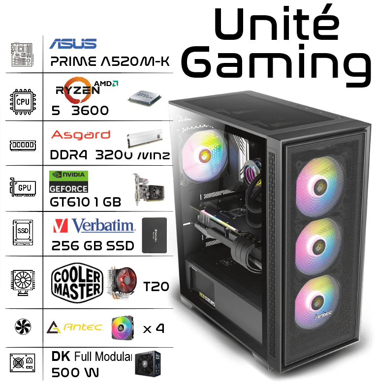 R5 GT610 8256 GAMING CPU