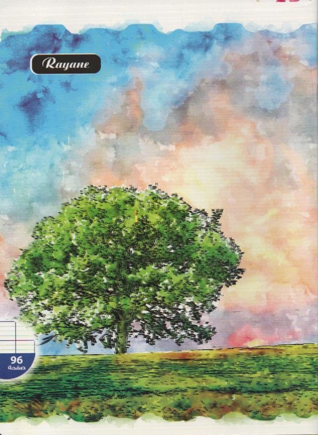 NOTEBOOK 96P 17x22cm RAYANE STITCHED