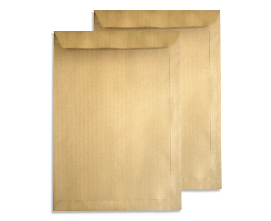 POUCH F38 FARAS RADIO 38X45CM 100 G +KRAFT -GOM -FEN BULK