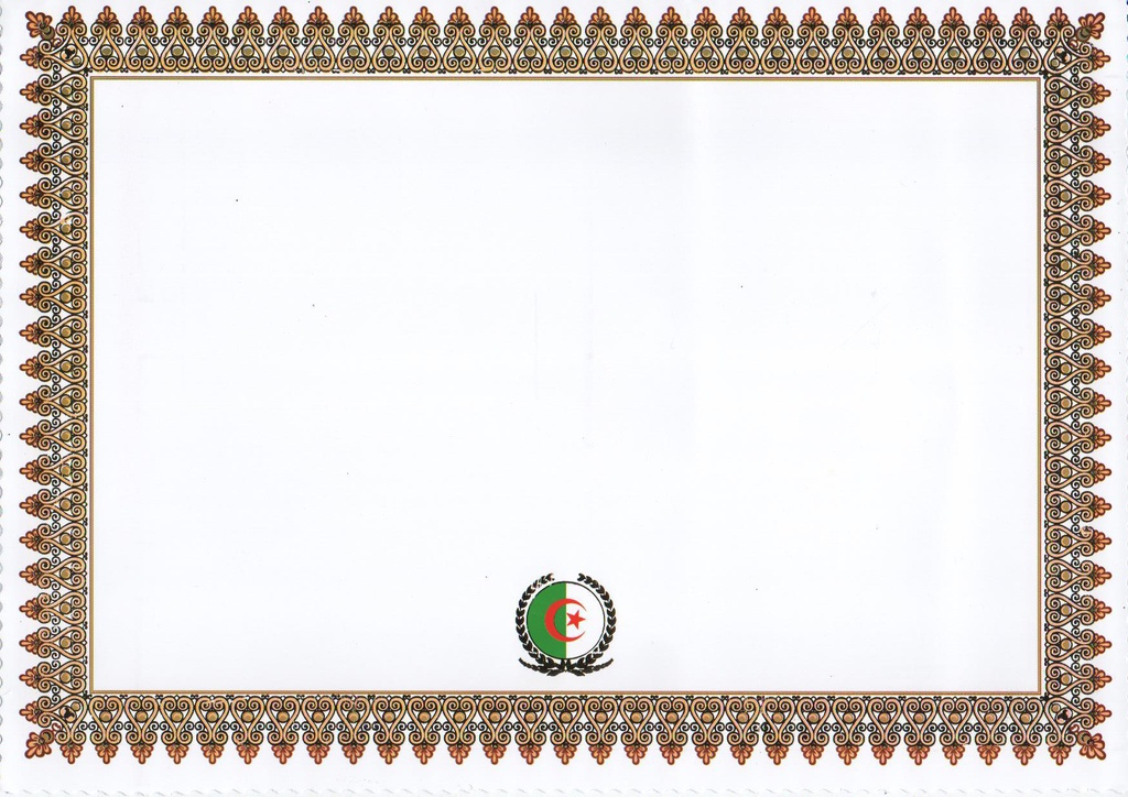 BLANK GOLD A4 DIPLOMA / CERTIFICATE