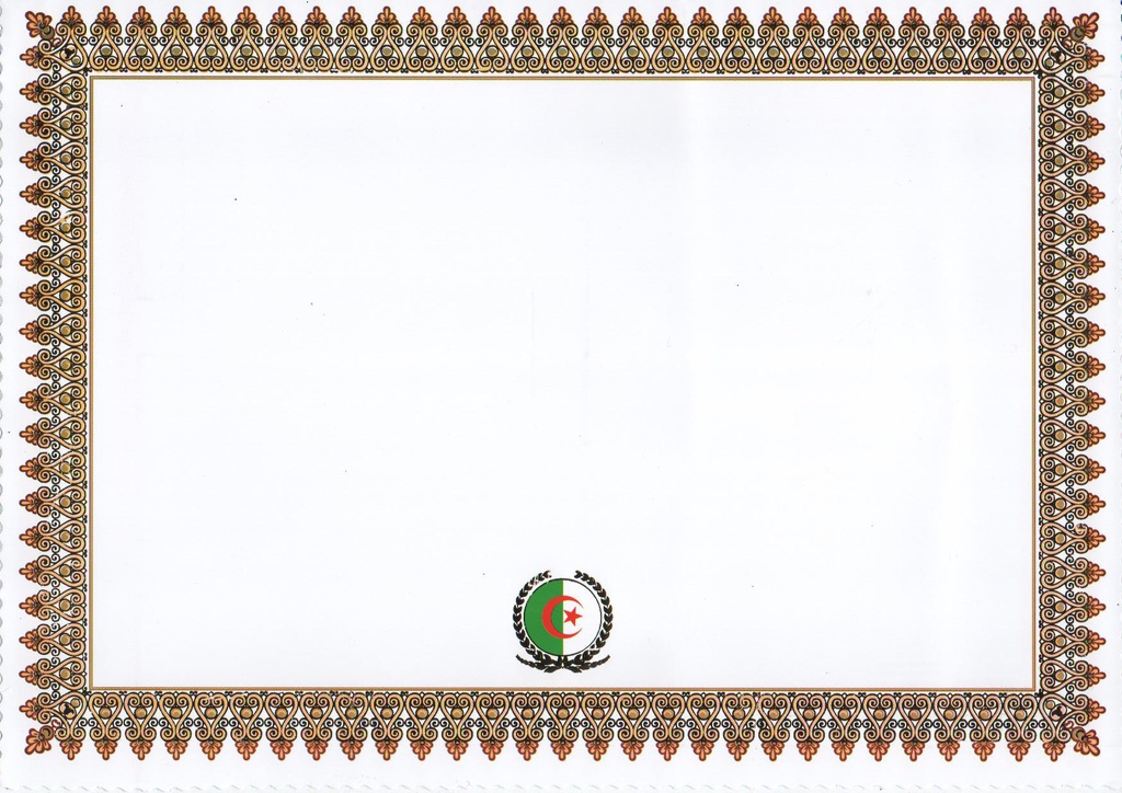 DIPLOME / ATTESTATION A4 DORÉE VIERGE