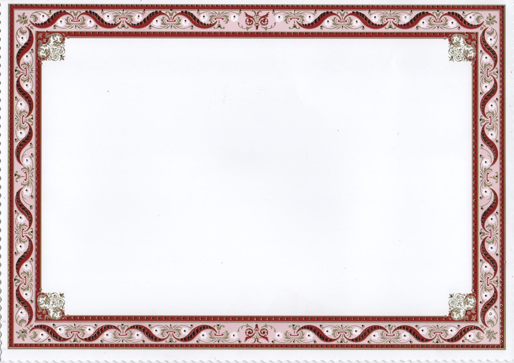 BLANK GOLD A4 DIPLOMA / CERTIFICATE