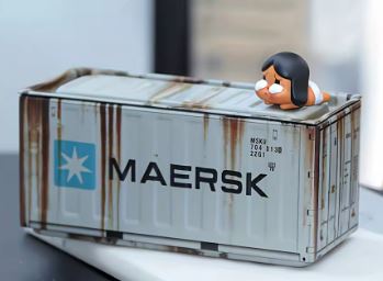 CONTAINER MAERSK POUR BUREAU