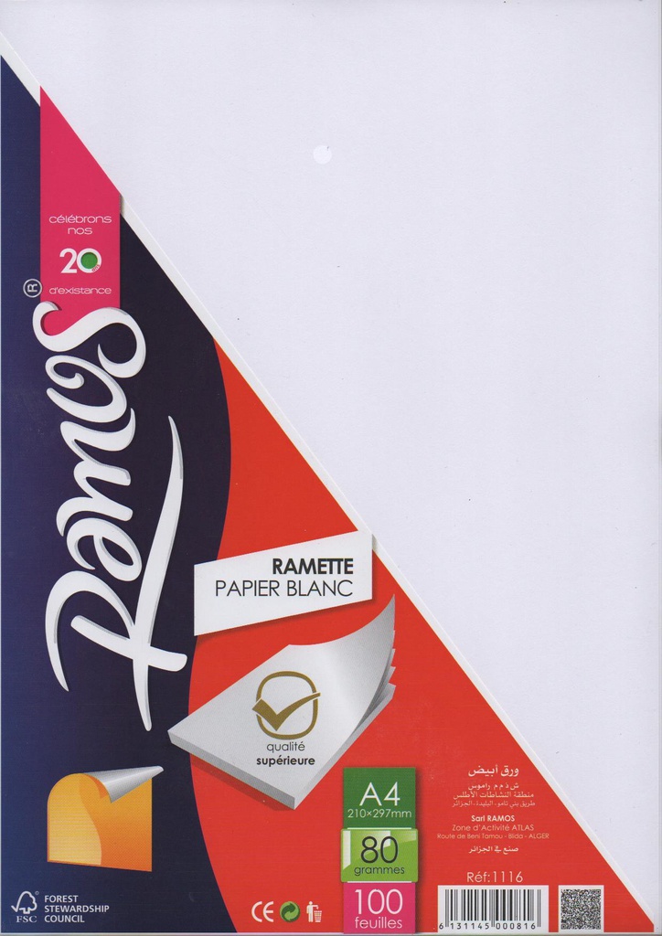 RAME DE PAPIER A4 80G 100F RAMOS