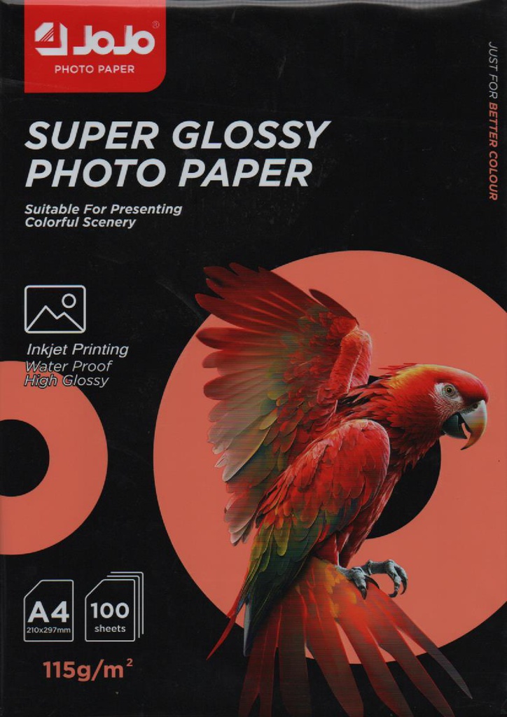 PAPIER PHOTO A4 115g 100F JOJO