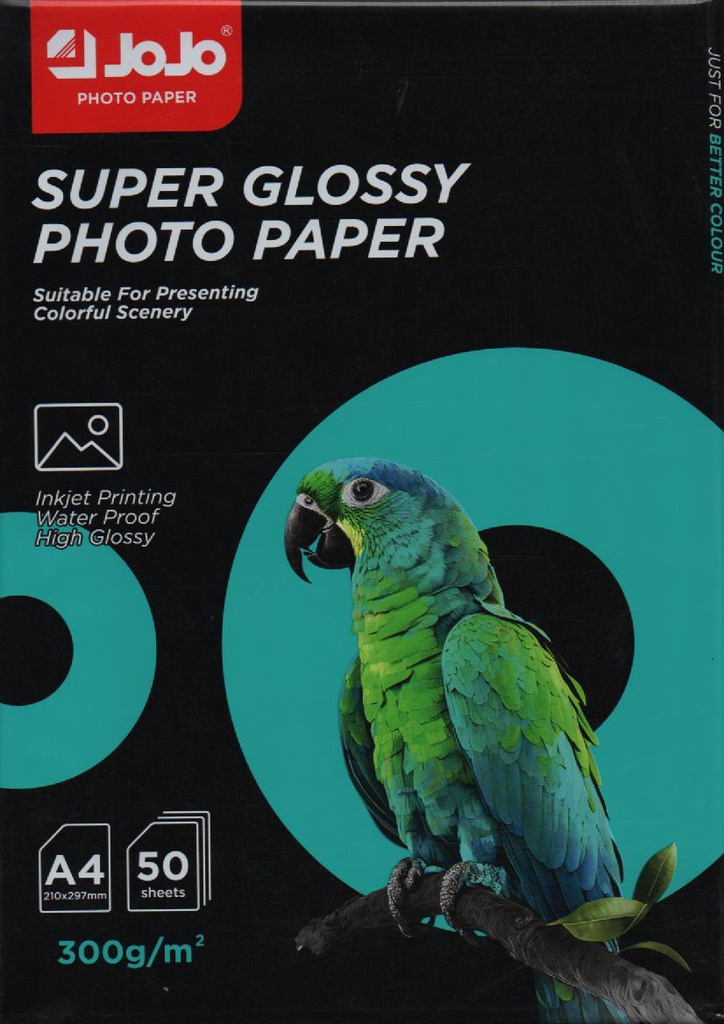 PAPIER PHOTO A4 300g 1 FACE 50f JOJO