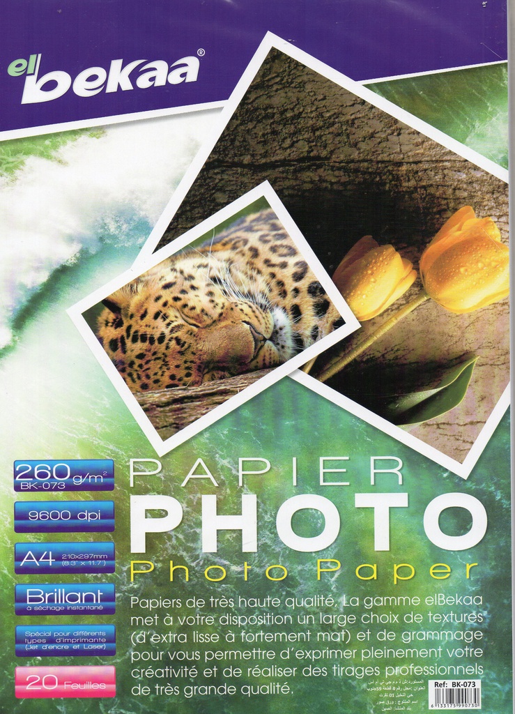 PAPIER PHOTO A4 260G 20F BEKAA