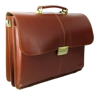 GOLDEN LEATHER SCHOOLBAG