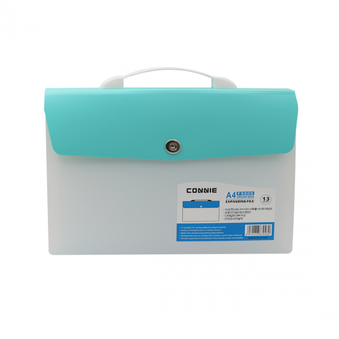 A4 PASTEL VERSAL 13-POCKET SORTER BAG