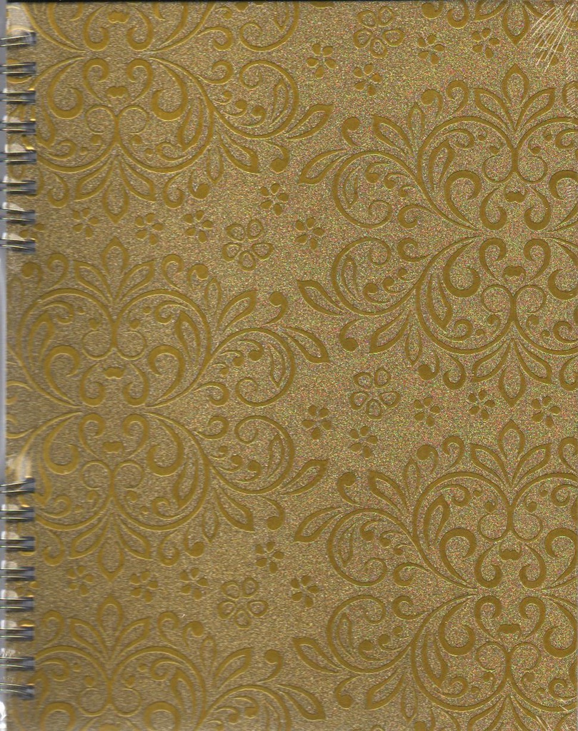 NOTES BOOK SPIRAL 17x22 SAMBARA