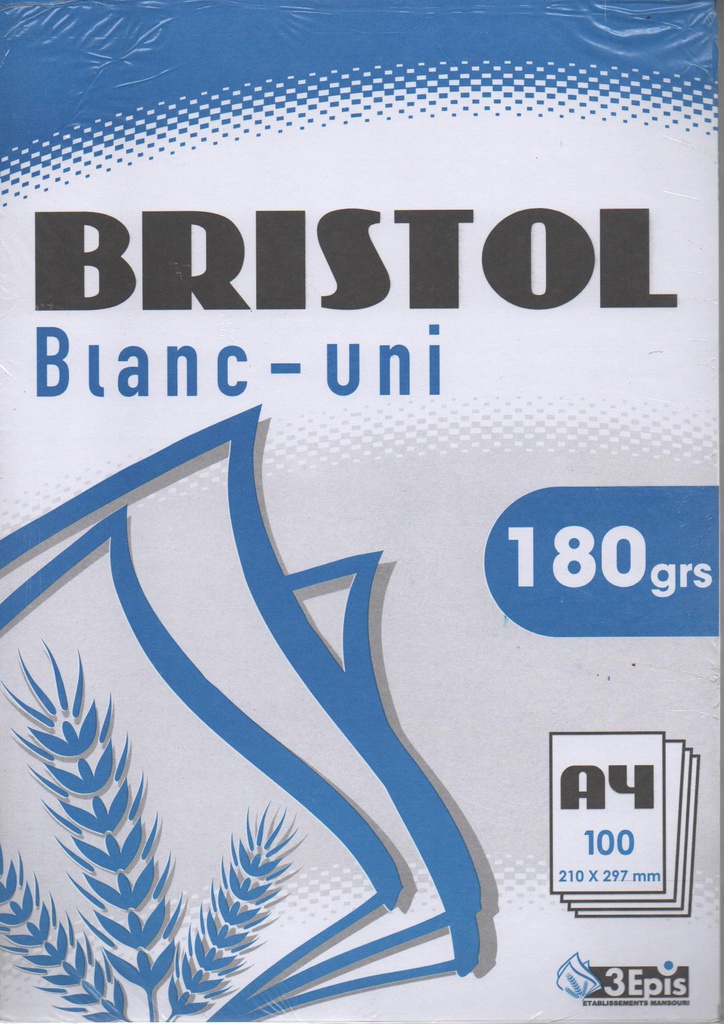FICHE BRISTOL A4 180g/m² 100F 3EPIS