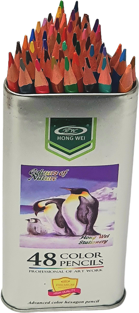 CRAYONS DE COULEUR 48/18 EN TUBE METAL HONG WEI
