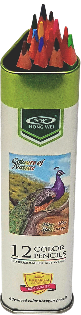 CRAYONS DE COULEUR 12/18 EN TUBE METAL HONG WEI