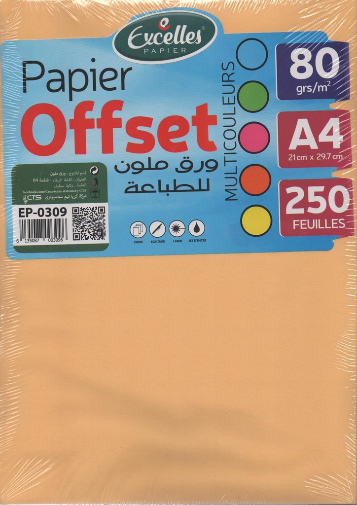 RAME DE PAPIER OFFSET A4 80G 250F 5 COULEURS EXCELLES