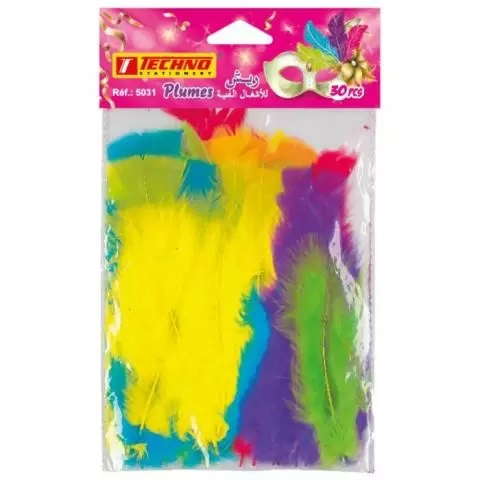 DECORATION FEATHERS 30PCS TECHNO