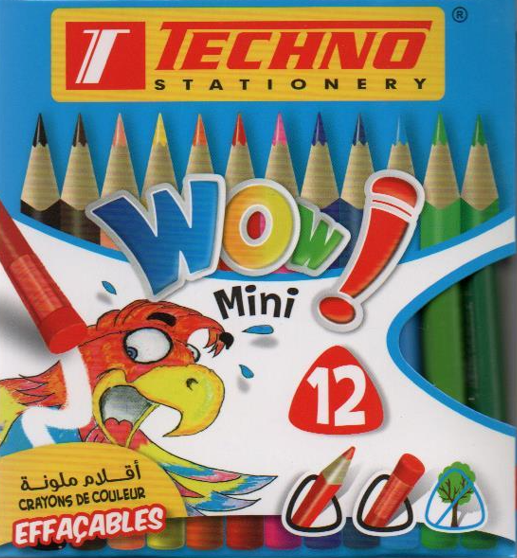 CRAYONS DE COULEUR 12/12 EFFACABLES TECHNO