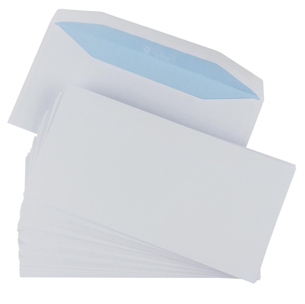 ENVELOPE F09 FARAS 9X12.5cm 80 G +WHITE +ADH -FEN BULK