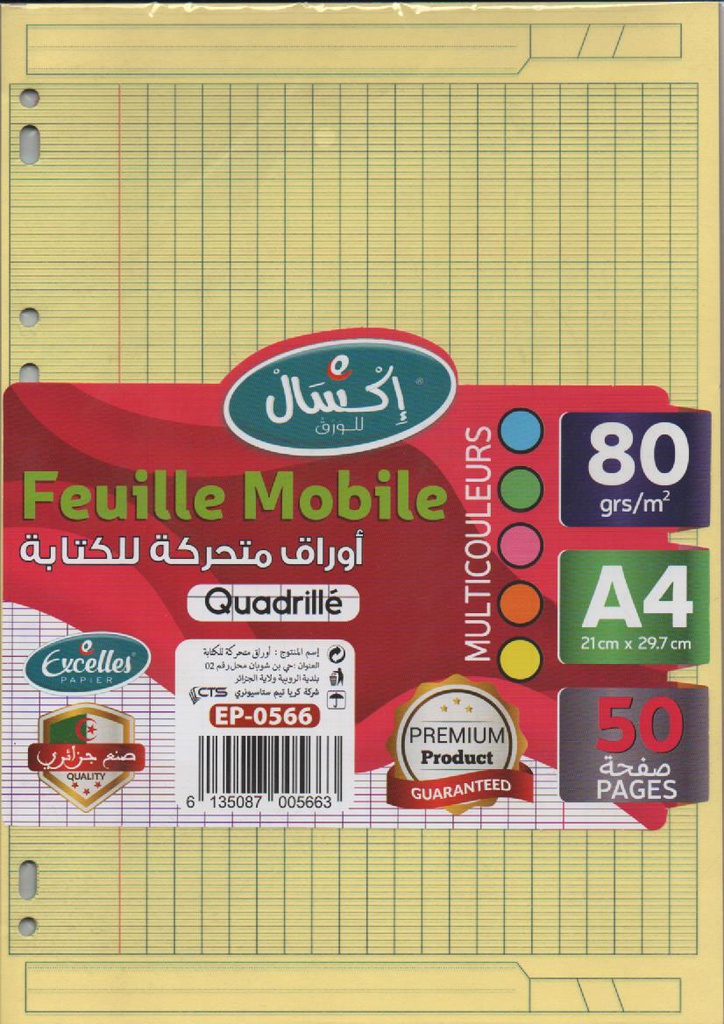 FEUILLES MOBILES SEYES 25F MULTICOULEURS EXCELLES