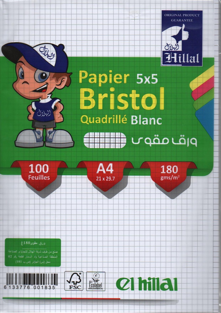 FICHE BRISTOL QUADRILLÉE A4 180G/m² 100F HILLAL