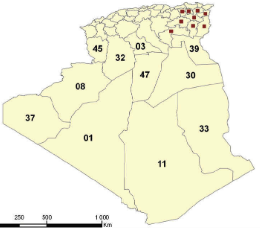 خريطة الجزائر 47x57سم دار الطاوكي