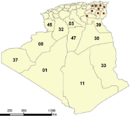 MAP OF ALGERIA 47x57cm DAR ELTAWKII