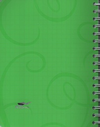 NOTEBOOK 288P 17x22cm SPIRAL PVC RAYANE