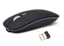 [W900] SOURIS SANS FIL RECHARGEABLE HB