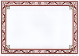[18A759] BLANK GOLD A4 DIPLOMA / CERTIFICATE