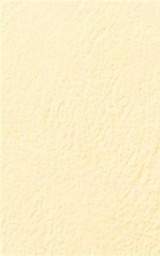[2194] PAPIER GRAIN DE CUIR A4 250g 50F JAUNE SAMBARA