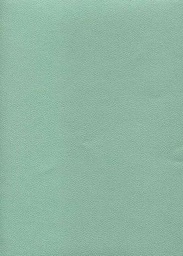 [2190] PAPIER GRAIN DE CUIR A4 250g 50F VERT TURQUOI SAMBARA