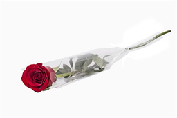 FLEURS A OFFRIR