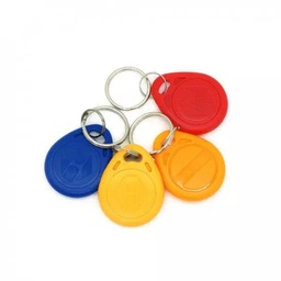 [SAT000149] EM4100 125khz RFID Key Tag