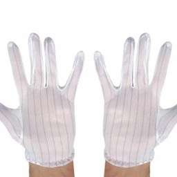 [SAT004708]  Antistatic glove