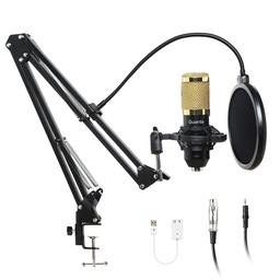 [R-008] MICROPHONE PROFESSIONNEL CONDENSER