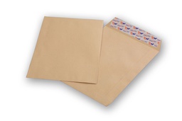 [23731]  POUCH F23/C4 FARAS 22.9X32.4CM 90 G +KRAFT +ADH -FEN BULK